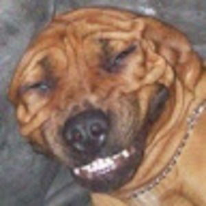 Meet your Posher, Johnathan